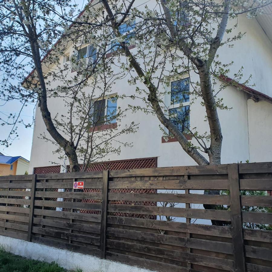 Vila Tami Apartment Costinesti Exterior photo