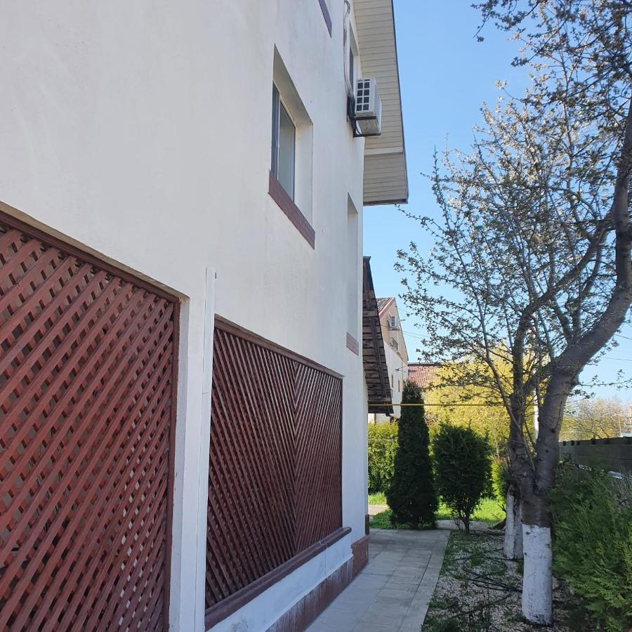 Vila Tami Apartment Costinesti Exterior photo